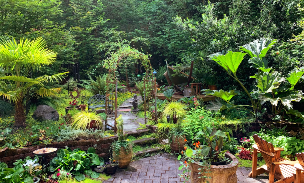 Landlord evicted her after 7 years. She took her entire garden with her on the way out.