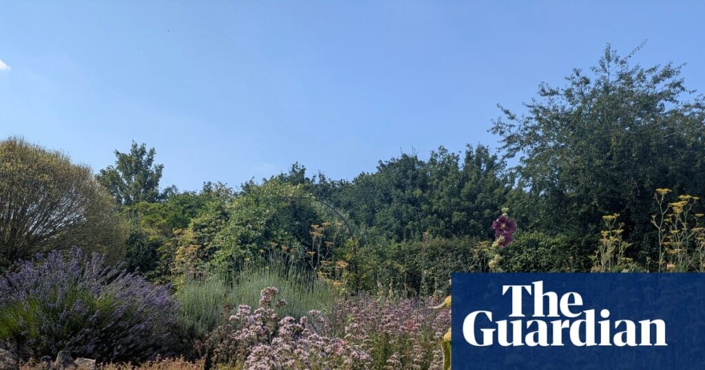 Country diary: In poet John Clare’s garden, I contemplate my ancestor who lived here too | John Clare
